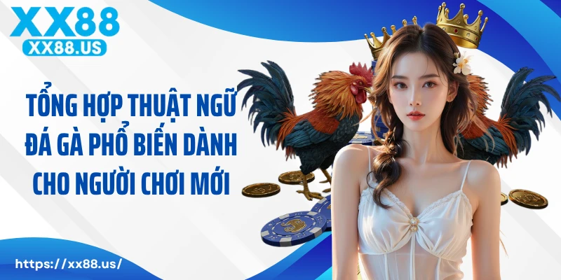 Tổng Hợp Thuật Ngữ Đá Gà Phổ Biến Dành Cho Người Chơi Mới